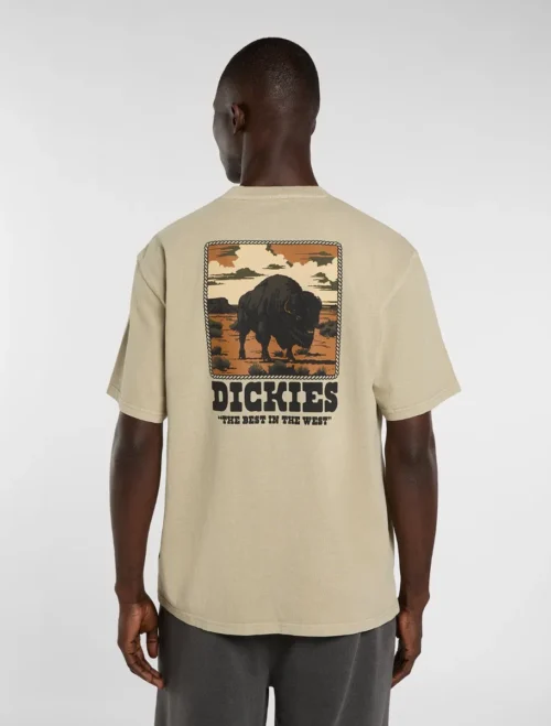 חולצת טי קצרה גברים DARRTOWN